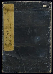 Shiohi no tsuto (Geschenke von der Ebbe), bekannt als das Muschelbuch, 1789