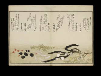 Shiohi no tsuto (Geschenke von der Ebbe), bekannt als das Muschelbuch, 1789