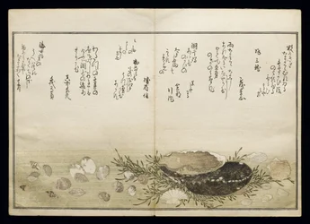 Shiohi no tsuto (Geschenke von der Ebbe), bekannt als das Muschelbuch, 1789