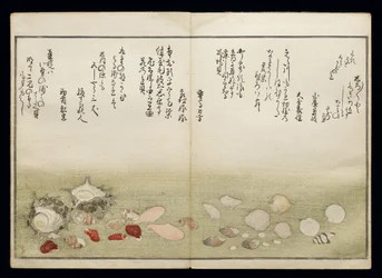 Shiohi no tsuto (Geschenke von der Ebbe), bekannt als das Muschelbuch, 1789