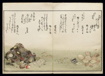 Shiohi no tsuto (Geschenke von der Ebbe), bekannt als das Muschelbuch, 1789