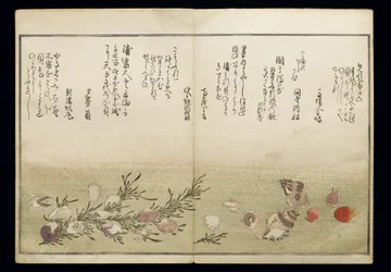 Shiohi no tsuto (Geschenke von der Ebbe), bekannt als das Muschelbuch, 1789