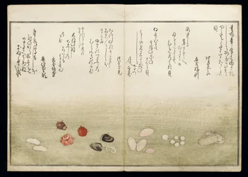 Shiohi no tsuto (Geschenke von der Ebbe), bekannt als das Muschelbuch, 1789