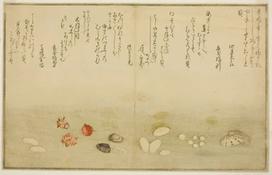 Sudare-gai, hana-gai, sakura-gai, mumeno-gai, nadeshiko-gai und kinuta-gai, aus dem illustrierten Buch "Geschenke von der Ebbe (Shiohi no tsuto)"