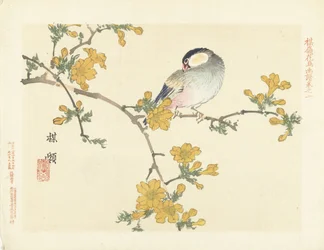 Singvogel auf blühendem Zweig