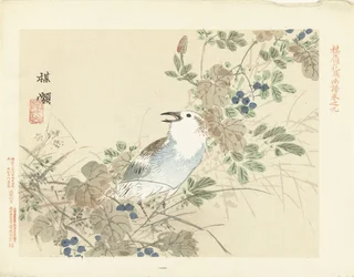 Singvogel zwischen Herbstgräsern