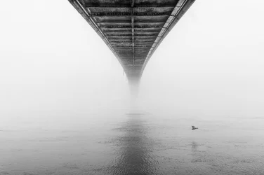 Neblige Brücke und Vogel