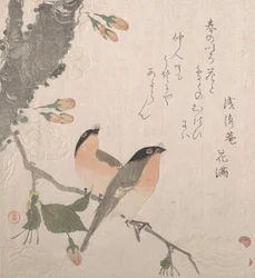 Gimpel und Kirschblüten, 19. Jahrhundert