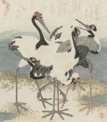 Kraniche am Wasser, ca. 1816