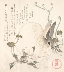 Hase und Löwenzahn