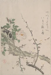 Rosen und Pflaumenblüten