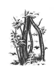 Kahle Winterbäume