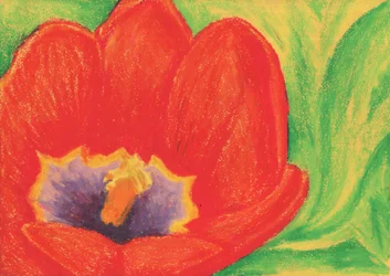 Lebhafte rote Blüte