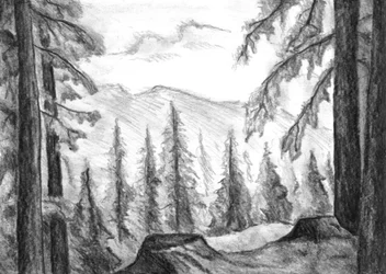 Wilder Bergwald