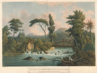 Der Cabaritta-Fluss, aus 