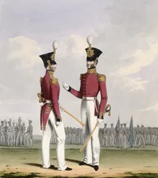 Feldoffiziere der Royal Marines, Platte 2 aus 