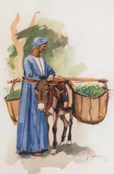 Menschen von Ägypten: Gemüsehändler, Khodari