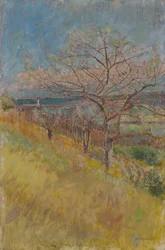 Tal mit blühenden Bäumen, 1890-1900