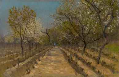 Weinberg, ca. 1890-95