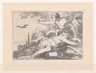 Apollo und Coronis