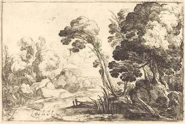 Bewaldete Landschaft mit einem Fluss