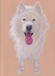 Snowky