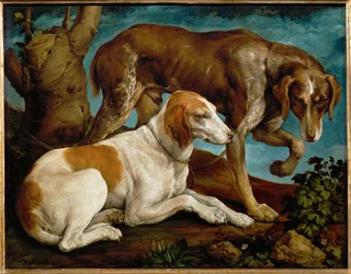 Zwei Jagdhunde an einen Baumstumpf gebunden