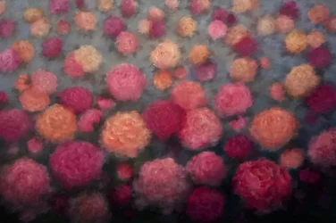Peony Penché, 2025