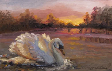 Schwan bei Sonnenaufgang, 2016