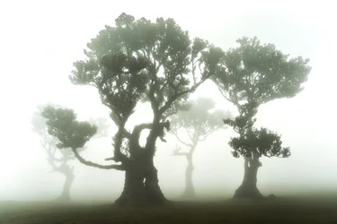 Der Wald bleibt, 2023