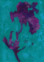 Abstrakte lila Iris