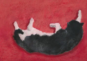 Glückliche Katze auf Rot