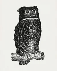 Eule