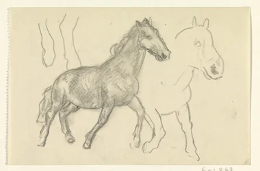 Zwei laufende Pferde