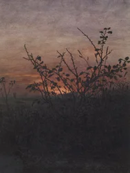 Schlehdorn (?) vor einer Landschaft bei Sonnenuntergang