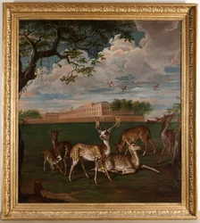 Damwild im Hyde Park