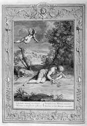 In der griechischen Mythologie verwandelt sich Narziss in eine Blume