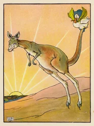Der Dunk und das Känguru