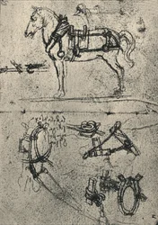 Ein angespanntes Kutschpferd und Studien des Geschirrs, um 1480, 1945