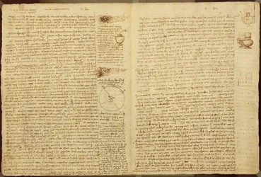 Eine Seite aus dem Codex Leicester, 1508-12