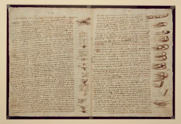 Eine Seite aus dem Codex Leicester, 1508-12