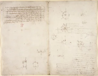 Zeichnungen über mechanische Kräfte, Schwerkraft, Bewegung, Optik und Astronomie, mit verschiedenen arithmetischen und geometrischen Propositionen