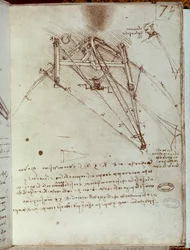 Zeichnung einer Flugmaschine. Manuskript von Leonardo da Vinci