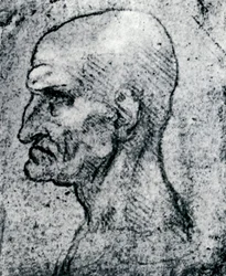 Kopf eines alten Mannes, 1913