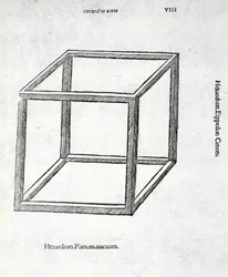 Hexaedron planum vacuum, Illustration aus 