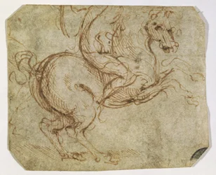 Pferd und Reiter