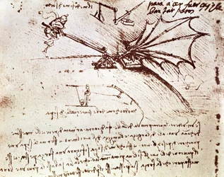 MS B fol.88v Test der Belastungstoleranz eines Flügels