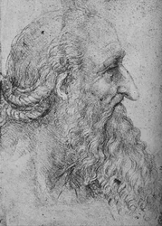 Profil eines alten, bärtigen Mannes nach rechts, ca. 1480, 1945