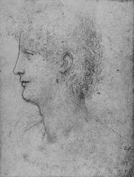 Profil eines lockigen Jugendlichen nach links, ca. 1480, 1945