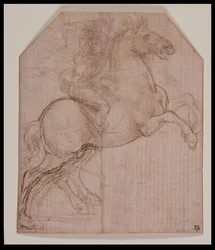 Reiter auf aufbäumendem Pferd, ca. 1481-82